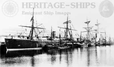 Jane Ellison Immigration Ship Nevada