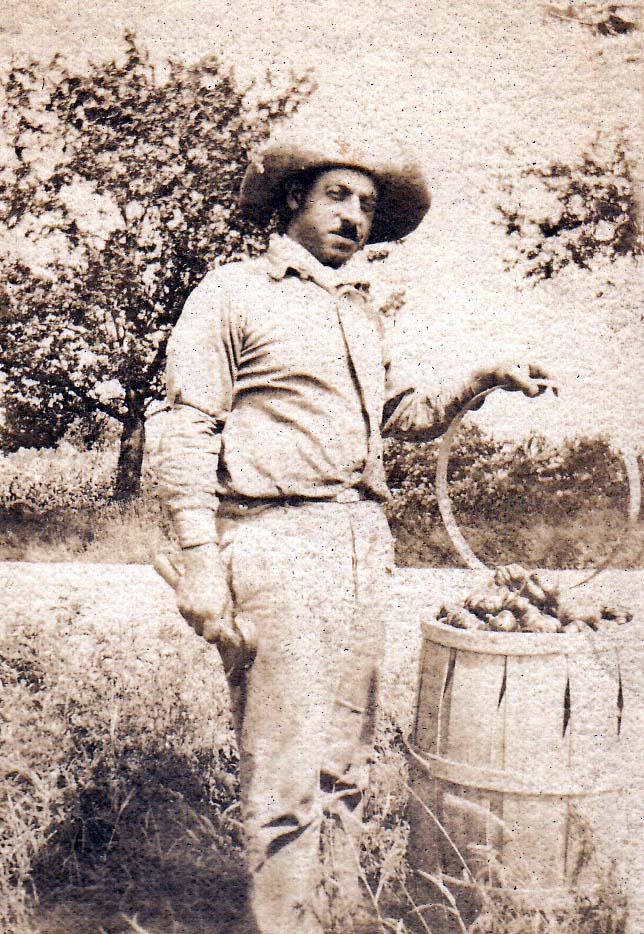 Ciro Lanzaro, Farmer