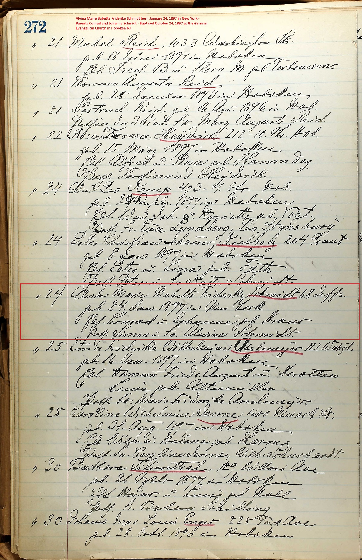 Alvina Schmidt Birth Record