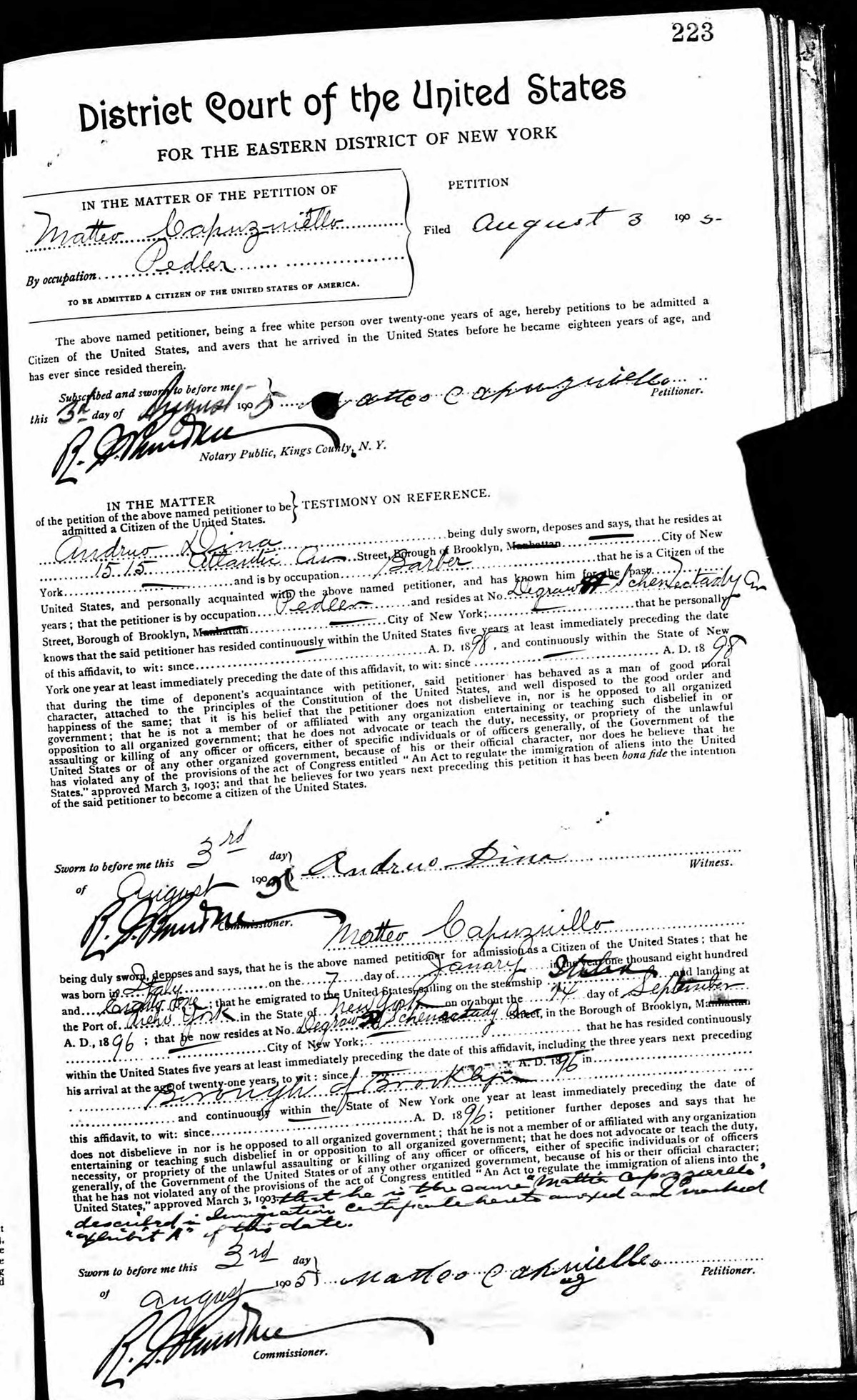 Matteo Capoziello Naturalization Record